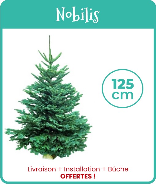 Livraison sapin de Noël Nobilis 125 cm