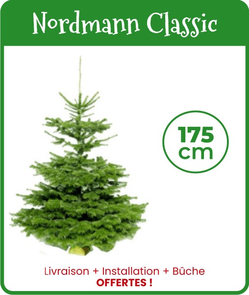 Livraison sapin de Noël Nordmann Classic 175 cm