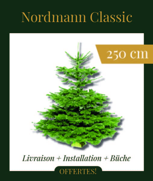 livraison sapin paris Nordmann Classic 250cm