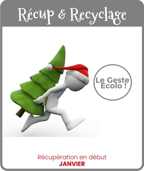 Option recup et recyclage en plus de la livraison de votre sapin à Paris, Versailles et toute l’Ile de France