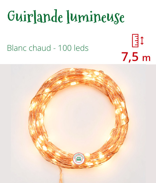 Guirlande lumineuse 100 LED Blanc Chaud - 7,5m
