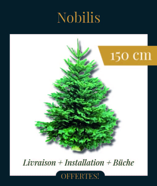 Livraison sapin de Noël Nobilis 150 cm