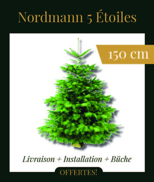 Livraison sapin de Noël Nordmann 5 Étoiles 150 cm
