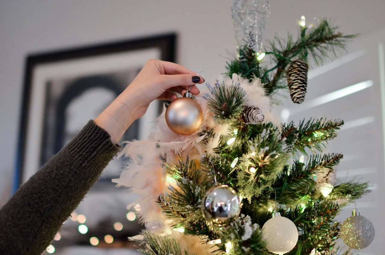 Où et quand installer votre sapin de Noël ?  Mon Bucheron